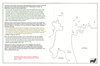 byr13 shipwreck_thumb.gif